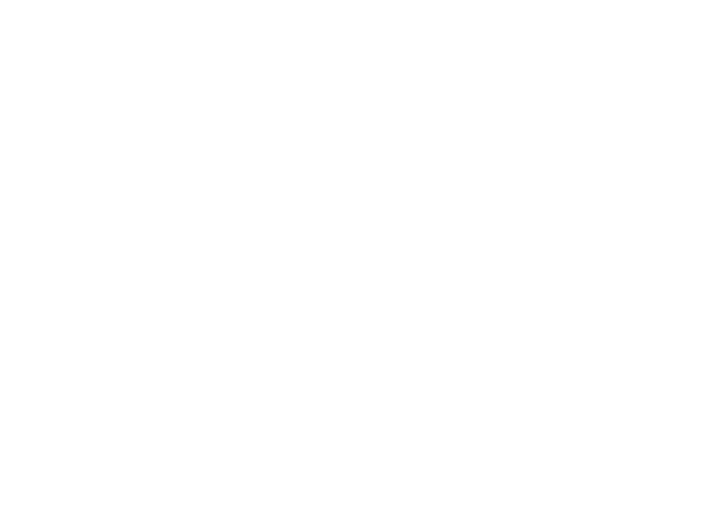 Hickory Hoops Elite Logo